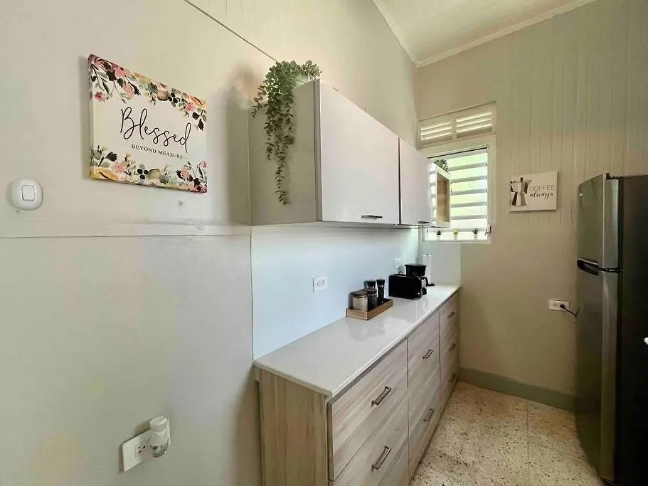 New! Antique House At Ponce Villa Semesterbostad